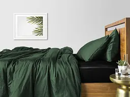 Комплект постільної білизни Cosas євро сатин GREEN CS4 200 x 220 см (Сатин_Зеленый_ЧерныйП_200) - мініатюра 2