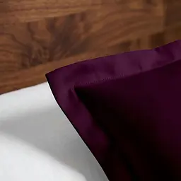 Наволочка Оксфорд 70х70 см BLUEBERRY COSAS (2200000058768) - мініатюра 3