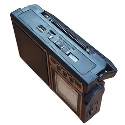 Радіоприймач із сонячною панеллю на акумуляторі чорний FM USB MicroSD Bluetooth Golon RX-BT319S - мініатюра 4