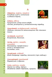 Ілюстрований словник-помічник з української мови. 1-4 класи - мініатюра 7