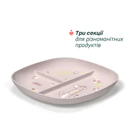 Тарілка секційна Chicco 12м+ рожева (16003.15) - мініатюра 4