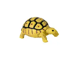 Фігурка KIDS TEAM ANIMALS тварини "Сафарі" Q9899-A63 Єгипетська Черепаха жовта - мініатюра 3