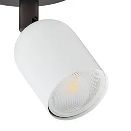 Світильник-спот TK Lighting TOP Black/White 6265 - мініатюра 2