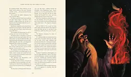 Harry Potter and the Goblet of Fire. Book 4. Illustrated Edition - мініатюра 5