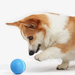 Розумний м'ячик для собак Cheerble Wicked ball C1801 Blue [150918] - мініатюра 7