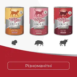 Вологий корм для котів Morando Migliorgatto Unico Rustic індичка 400 г - мініатюра 3