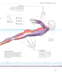 Science of Swimming. Transform Your Stroke, Improve Strength, Revolutionize Your Training - мініатюра 8