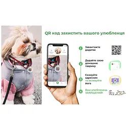 Нашийник для собак Waudog нейлоновий з QR-паспортом Смайли на блакитному S - мініатюра 10