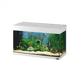 Акваріум Ferplast DUBAI 80 WHITE - 125 L 81 x 36 x h 51 cm
