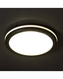 Вуличний світильник Kanlux 38387 BENO ECO LED 1x40 3000K/4000K/6500K 3800/4050/3900Lm IP65 чорний - мініатюра 3