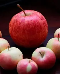 Саджанець Agro-Market Яблуня Целесте (літній сорт пізнього терміну дозрівання) (35432) 1 шт. в упаковці - мініатюра 3