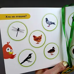 Міркувалочка. Сховай зайве. Навчання в грі G1606002У - мініатюра 3