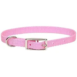 Нашийник для собак Coastal Nylon Web 1x30 см яскраво-рожевий