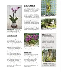 Grow Orchids. Essential Know-how and Expert Advice for Gardening Success - мініатюра 7