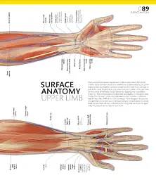 The Definitive Visual Guide: Complete Human Body - мініатюра 8