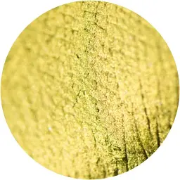 Розсипчасті тіні Sinart Make-Up With Passion тон 96 (Oliver Yellow) 1 г - мініатюра 2