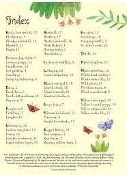 Flowers to Spot. Usborne Minis - мініатюра 4