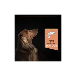 Сухий корм для собак Purina Pro Plan Small&Mini Sensitive Skin з лососем 7 кг (7613035123441) - мініатюра 8