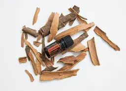 Ефірна олія кориці DoTERRA Cinnamon Bark, 5 мл - мініатюра 2