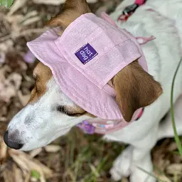Панама для собак Hat-Dog рожева (XS) - мініатюра 5