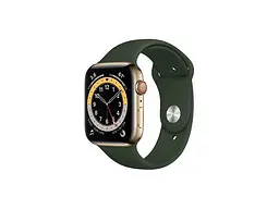 Смарт-часы Apple Watch Series 6 GPS + Cellular 40mm Gold Stainless Steel Case with Cyprus Green Sport Band (M02W3, M06V3)