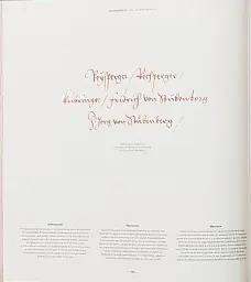Freydal. Medieval Games. The Book of Tournaments of Emperor Maximilian I - мініатюра 11