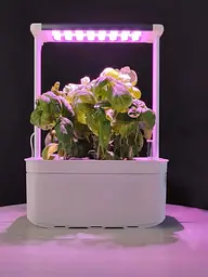 Гідропонна система Abis Flowerpot - мініатюра 7