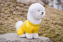 Комбінезон Smart Pet Limon - мініатюра 2
