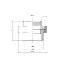 Згін "Американка" PPR Thermo Alliance 63х2" ВР DSI006 - мініатюра 1