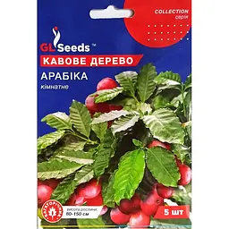 Насіння кавового дерева GL Seeds Арабіка 5 шт.