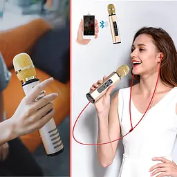 Бездротовий караоке-мікрофон Losso K6 Premium з вбудованим динаміком і Bluetooth Gold (18960) - мініатюра 7