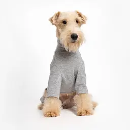 Базовий комбінезон/піжама для собак V.PET.B.R. Dog Jumpsuit CF36 Grey - мініатюра 4