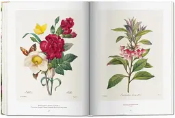 Redoute. The Book of Flowers - мініатюра 8