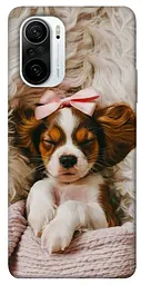 TPU чохол Demsky Sleepy spaniel для Xiaomi Redmi K40 / K40 Pro / K40 Pro+ / Poco F3