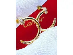 Сережки Stainlees Steel 1 341