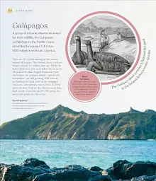 The Ocean Book: The Stories, Science, and History of Oceans - мініатюра 7