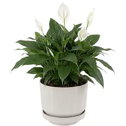 Вазон для квітів Serinova Lux 9 л білий камінь (20-S28412104-200100) - мініатюра 2