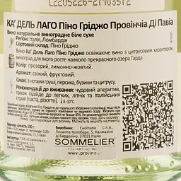 Вино Ca Del Lago Pinot Grigio Provincia di Pavia Lombardia IGT біле сухе 0.75 л - мініатюра 3