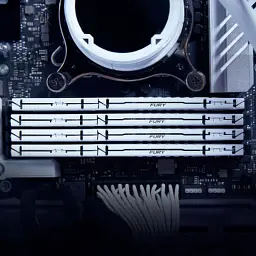 Модуль пам'яті для комп'ютера DDR5 64GB (2x32GB) 5600 MHz Beast White EXPO Kingston Fury (ex.HyperX) (KF556C36BWEK2-64) - мініатюра 6