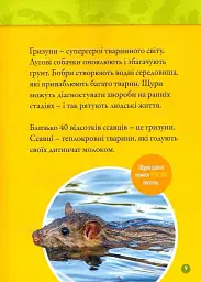 Шкряб! 100 цікавих фактів про гризунів - - мініатюра 6