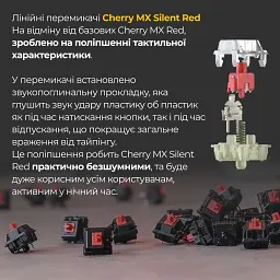 Клавіатура Ducky One 3 TKL Cherry MX Silent Red Matcha UA [DKON2187-SUAPXМAEGGC1] [126113] - мініатюра 10