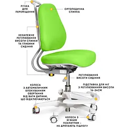 Дитяче крісло Evo-Kids Mio Ergo Lite Green (Y-507 Lite KZ) - мініатюра 2