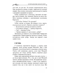 Історії для душі зі всього світу - Бруно Ферреро - мініатюра 14