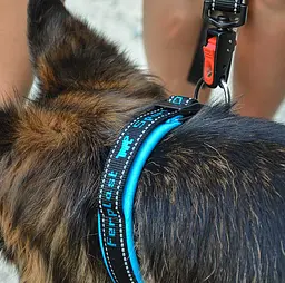 Нашийник для собак Ferplast Sport Dog С25/55 нейлоновий блакитний 2.5-45-55 см 78004125 - мініатюра 7
