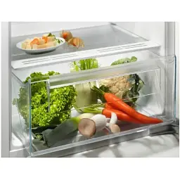 Холодильник Electrolux LFB3AE12S1 (6993213) - мініатюра 3