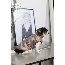 Жилет Pet Fashion Hardy для собак розмір L - мініатюра 6