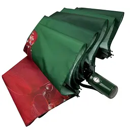 Жіноча парасолька-автомат The Best 102 см acs0024692 - мініатюра 6