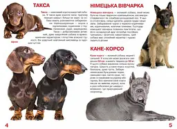 Велика книга Кристал Бук Собаки (F00013570) - мініатюра 2