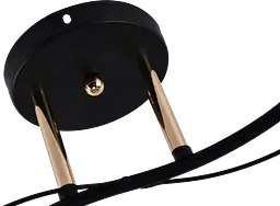 Люстра декоративна V XA1248B/2 Gold+Black на 2 плафонів - мініатюра 3