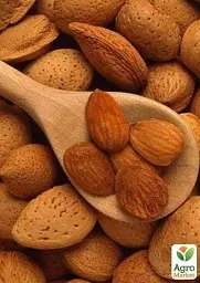 Саджанець Agro-Market Мигдаль солодкий Прибережний (середній термін дозрівання) 1 шт. в упаковці (35898) - мініатюра 2